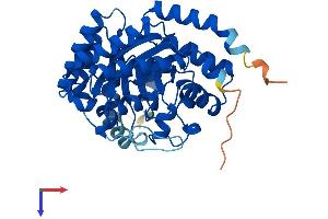 ADAL Protein (AA 1-360) (His tag)