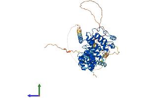 Protein Structure (PS) image for Receptor-Interacting Serine-threonine Kinase 2 (RIPK2) (AA 1-540) protein (His tag) (ABIN7555236)