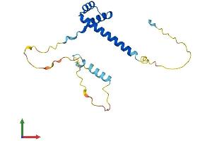 AlphaFold protein structure predicition of Mouse Recombinant Lbx2 Protein, UniprotID Q9WUN8