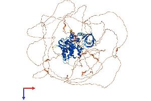 HIPK3 Protein (AA 1-1192) (His tag)