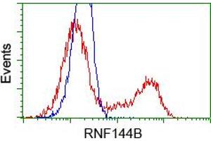 HEK293T cells transfected with either RC209302 overexpress plasmid(Red) or empty vector control plasmid(Blue) were immunostained by anti-RNF144B antibody(TA500705), and then analyzed by flow cytometry. (RNF144B Antikörper  (AA 1-256))