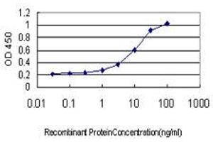 Detection limit for recombinant GST tagged INPPL1 is approximately 0. (INPPL1 Antikörper  (AA 1159-1258))