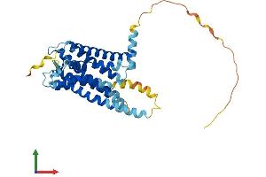 Protein Structure (PS) image for G Protein-Coupled Receptor 157 (GPR175) (AA 1-335) protein (His tag) (ABIN7548035)