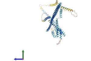 Protein Structure (PS) image for Coiled-Coil Domain Containing 93 (CCDC93) (AA 1-631) protein (His tag) (ABIN7553257)