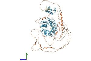 AlphaFold protein structure predicition of Human Recombinant ZNF112 Protein, UniprotID Q9UJU3