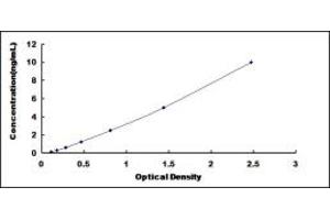 CAPZB ELISA Kit