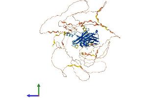 Protein Structure (PS) image for Nuclear Factor of Activated T-Cells, Cytoplasmic, Calcineurin-Dependent 4 (NFATC4) (AA 1-901) protein (His tag) (ABIN7564619)