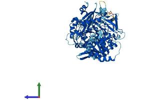 Protein Structure (PS) image for Acyl-CoA Synthetase Bubblegum Family Member 2 (ACSBG2) (AA 1-666) protein (His tag) (ABIN7551826)
