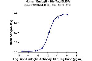 Immobilized Human Endoglin, His Tag at 5 μg/mL (100 μL/well) on the plate.
