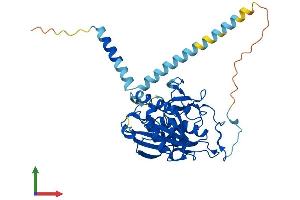 Protein Structure (PS) image for UDP-Gal:betaGlcNAc beta 1,4- Galactosyltransferase, Polypeptide 5 (B4GALT5) (AA 1-388) protein (His tag) (ABIN7561717)