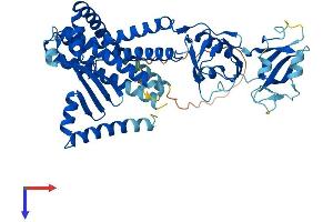 MBTPS2 Protein (AA 1-519) (His tag)