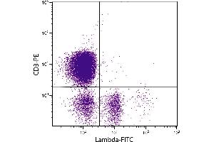 Chicken peripheral blood lymphocytes were stained with Mouse Anti-Chicken Lambda-FITC. (Maus anti-Huhn lambda Antikörper (FITC))