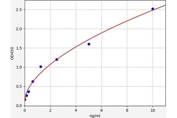 IFI16 ELISA Kit