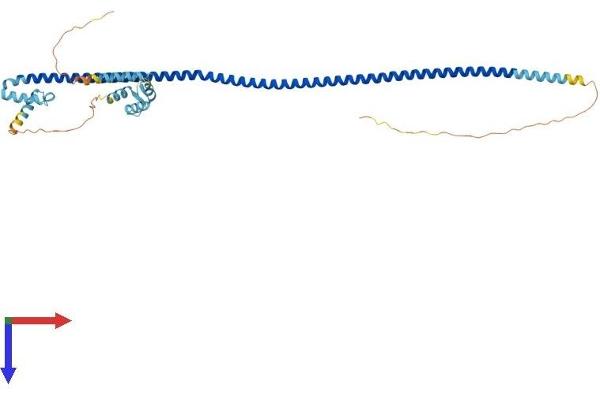 EFCAB4A Protein (AA 1-394) (His tag)