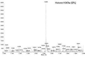 Mass Spectrometry (MS) image for Histone 3 (H3) (H3K9ac) protein (ABIN2669541)