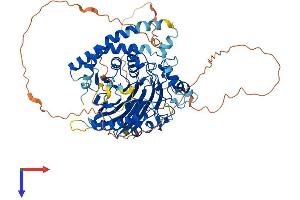 SMPD3 Protein (AA 1-655) (His tag)