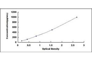 Typical standard curve (GZMM ELISA Kit)