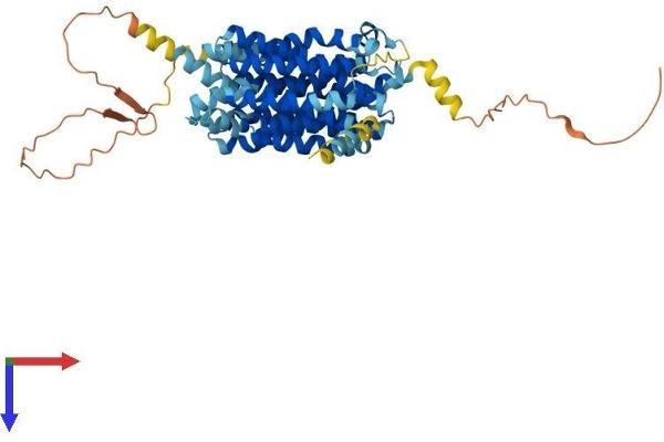 SLC18A2 Protein (AA 1-514) (His tag)
