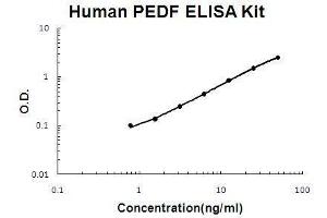 Human PEDF/SerpinF1 PicoKine ELISA Kit standard curve (PEDF ELISA Kit)