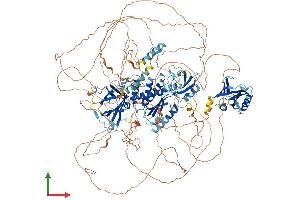 Protein Structure (PS) image for Tensin 3 (TNS3) (AA 1-1440) protein (His tag) (ABIN7563836)