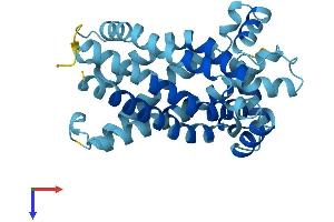SLC25A15 Protein (AA 1-301) (His tag)