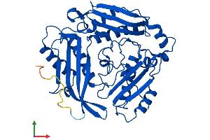 Protein Structure (PS) image for Methionine Adenosyltransferase II, alpha (MAT2A) (AA 1-395) protein (His tag) (ABIN7557062)