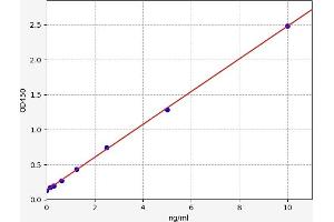 Parkin ELISA Kit