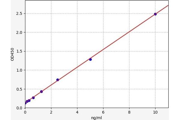 Parkin ELISA Kit