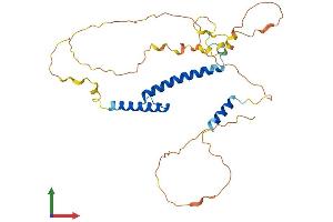 Protein Structure (PS) image for Myogenic Differentiation 1 (MYOD1) (AA 1-320) protein (His tag) (ABIN7549664)