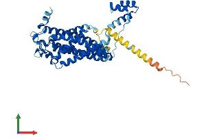 Protein Structure (PS) image for Ceramide Synthase 3 (CERS3) (AA 1-383) protein (His tag) (ABIN7553420)