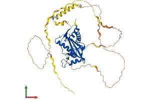 Protein Structure (PS) image for Proline-Rich Coiled-Coil 1 (PRRC1) (AA 1-445) protein (His tag) (ABIN7551017)