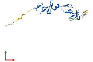 Protein Structure (PS) image for LIM Domain Only 4 (LMO4) (AA 1-165) protein (His tag) (ABIN7549065)