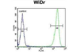 DEK Antibody (C-term) flow cytometric analysis of WiDr cells (right histogram) compared to a negative control cell (left histogram).