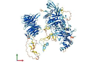 Protein Structure (PS) image for PAN2 Poly(A) Specific Ribonuclease Subunit Homolog (PAN2) (AA 1-1202) protein (His tag) (ABIN7554853)