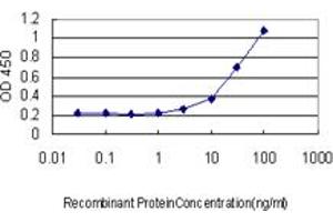 Detection limit for recombinant GST tagged TLR7 is approximately 3ng/ml as a capture antibody. (TLR7 Antikörper  (AA 27-126))