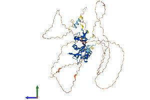 Protein Structure (PS) image for Establishment of Cohesion 1 Homolog 2 (ESCO2) (AA 1-601) protein (His tag) (ABIN7553818)