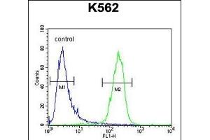 Flow Cytometry (FACS) image for anti-Solute Carrier Family 25, Member 52 (SLC25A52) (AA 46-75), (N-Term) antibody (ABIN654844)