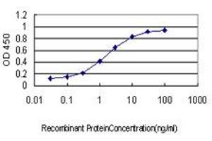 Detection limit for recombinant GST tagged GML is approximately 0. (GML Antikörper  (AA 48-158))