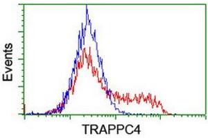 Image no. 1 for anti-Trafficking Protein Particle Complex 4 (TRAPPC4) antibody (ABIN1501263) (TRAPPC4 Antikörper)