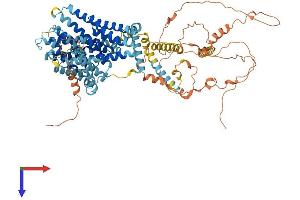 SLC9A3 Protein (AA 1-834) (His tag)