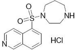 Chemical structure of Fasudil , a ROCK inhibitor.
