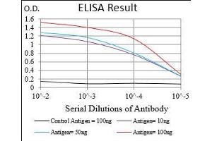 Black line: Control Antigen (100 ng), Purple line: Antigen(10 ng), Blue line: Antigen (50 ng), Red line: Antigen (100 ng), (MCAM Antikörper  (AA 84-189))