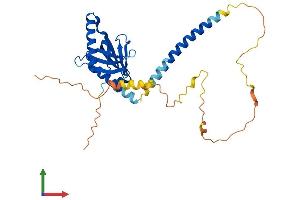 Protein Structure (PS) image for GULP, Engulfment Adaptor PTB Domain Containing 1 (GULP1) (AA 1-304) protein (His tag) (ABIN7548193)