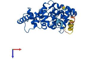 TBC1D7 Protein (AA 1-293) (His tag)