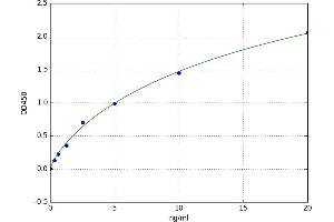 A typical standard curve