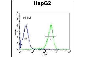 Flow Cytometry (FACS) image for anti-Pterin-4 alpha-Carbinolamine Dehydratase/dimerization Cofactor of Hepatocyte Nuclear Factor 1 alpha (PCBD1) (AA 11-37) antibody (ABIN653056)