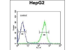 PCBD1 Antibody (Center) (ABIN653056 and ABIN2842659) flow cytometric analysis of HepG2 cells (right histogram) compared to a negative control cell (left histogram).