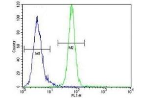 AKT1 antibody flow cytometric analysis of MDA-MB435 cells (right histogram) compared to a negative control (left histogram).