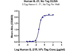 Immobilized Human IL-21 at 2 μg/mL (100 μL/Well) on the plate. (IL-21 Protein)