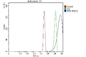 Flow Cytometry analysis of SiHa cells using anti-EIF5 antibody (ABIN7599721).